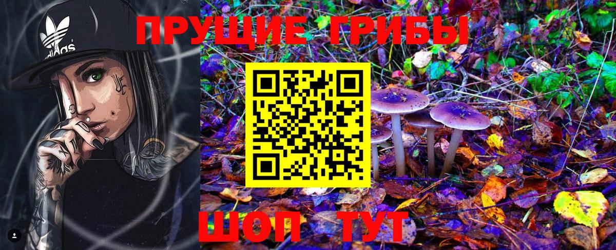 Мытищи  Галлюциногенные грибы MAGIC MUSHROOMS  Галлюциногенные грибы MAGIC MUSHROOMS  Вход с VPN 