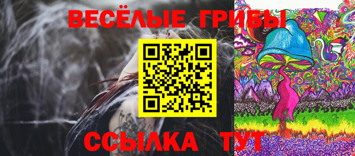 Псилоцибиновые грибы прущие грибы Мытищи